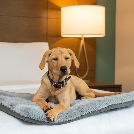 Staybridge Suites - Hillsboro North By Ihg Eksteriør bilde