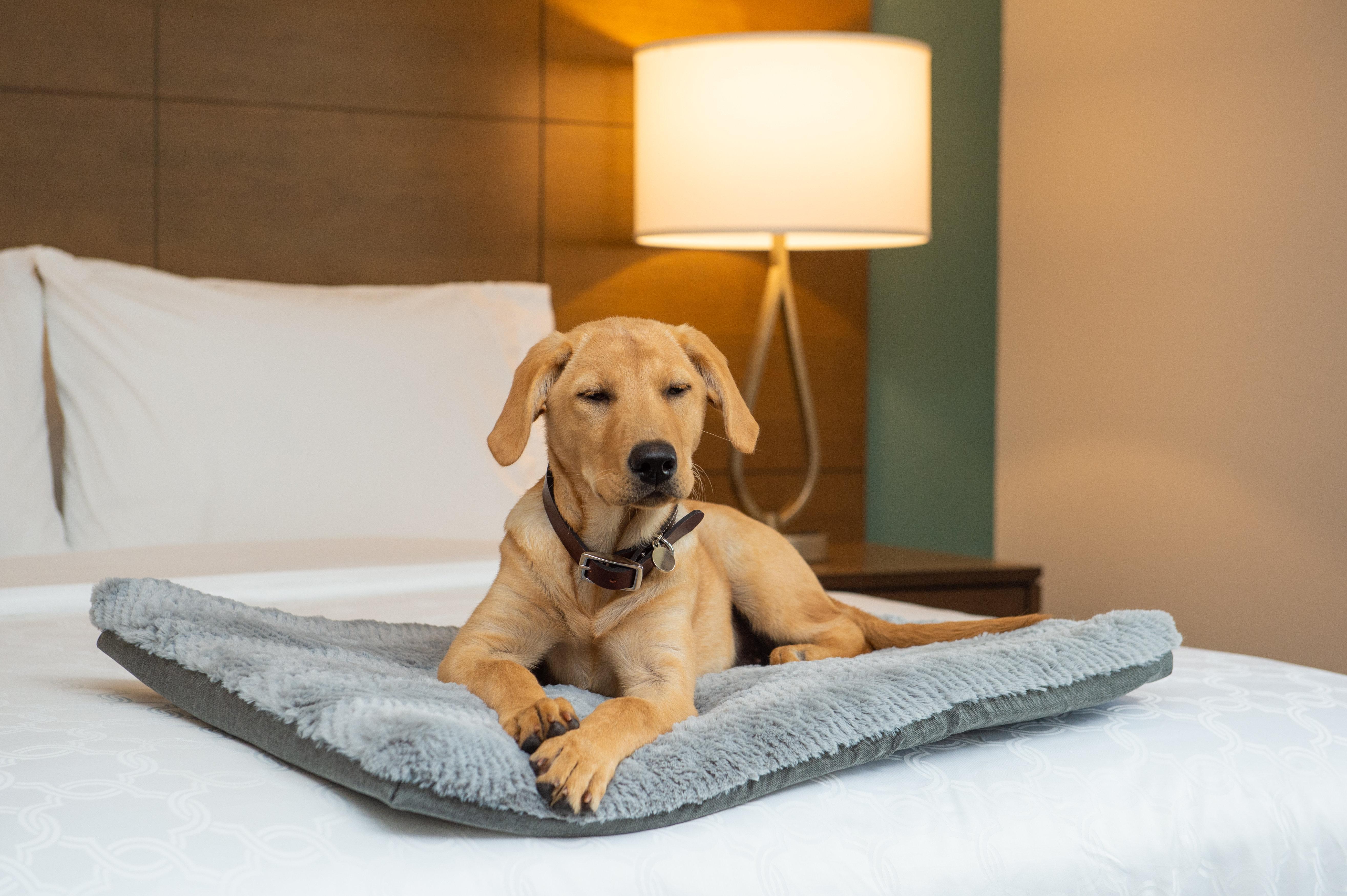 Staybridge Suites - Hillsboro North By Ihg Eksteriør bilde